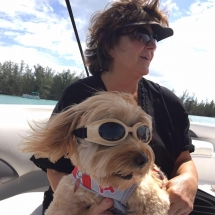 17553832_1083442508426728_3850895618127655620_n