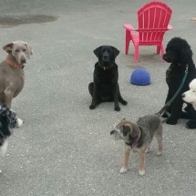 18699505_1141691542601824_376216710650830211_o