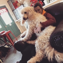 26024260_1317953518308958_5154168711815680446_o