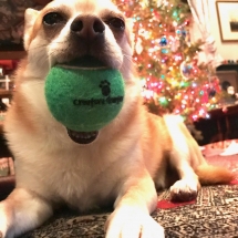 26171750_1321040368000273_1775716996679167978_o