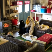 30708941_1414995448604764_2616823629563822080_n