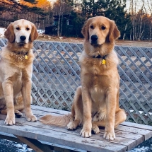 47421083_1687666321337674_7637456054296510464_o